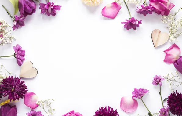 Цветы, рамка, лепестки, flowers, purple, petals, frame, floral
