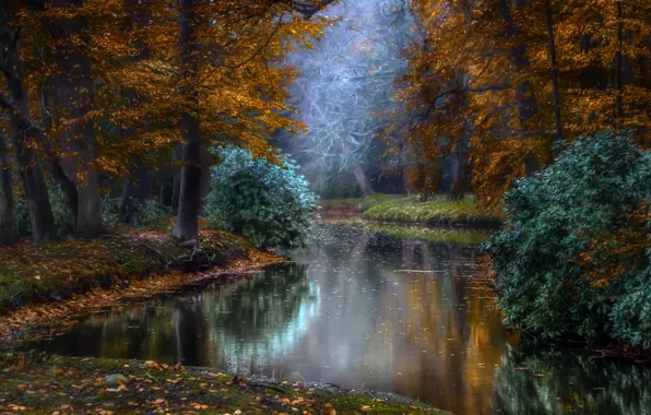 Картинка осень, лучи, свет, деревья, природа, парк, водоём, Голландия