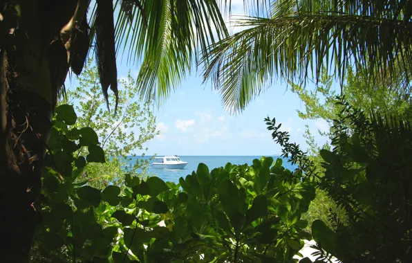 Океан, остров, Maldives
