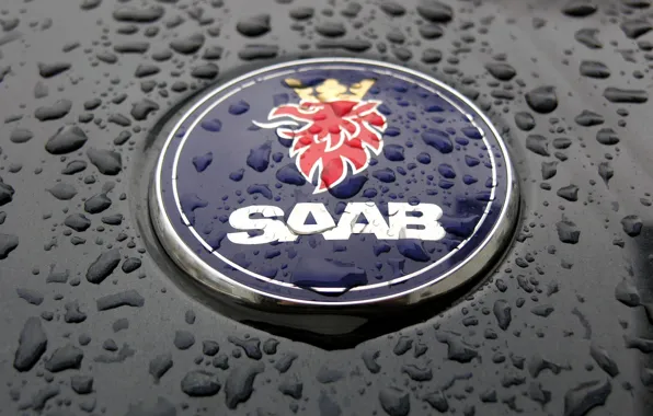 Картинка знак, Saab, погода