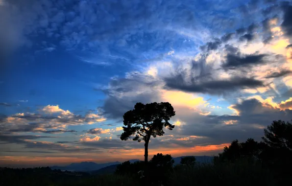 Небо, облака, закат, дерево, Природа, sky, nature, clouds