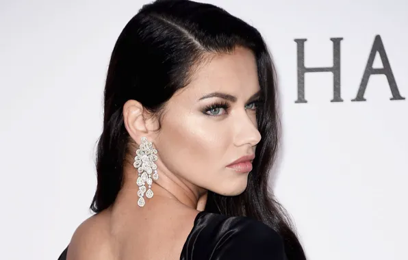 Взгляд, серьги, макияж, Адриана Лима, Adriana Lima, look, Hair, Victoria's Secret