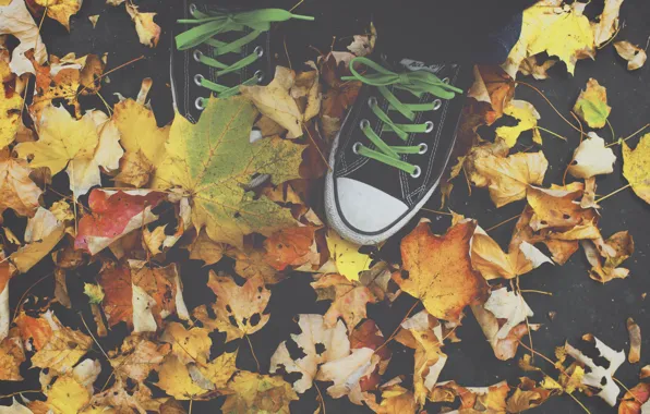 Картинка All Star, autumn, leaves