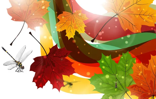 Картинка осень, листья, коллаж, вектор, стрекоза