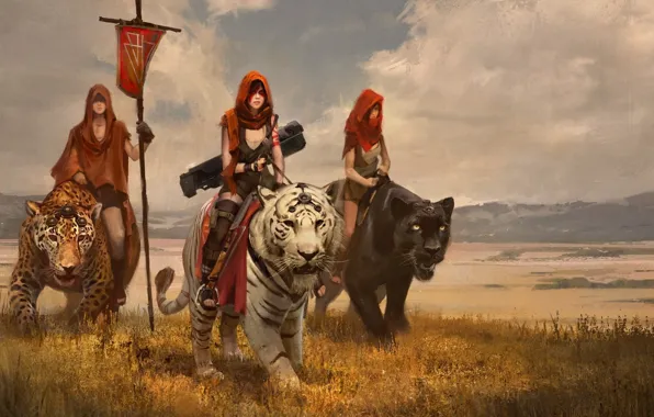 Кошка, небо, девушка, облака, животное, флаг, воин