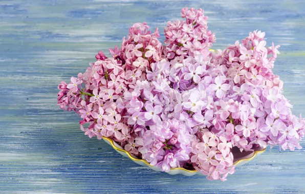 Цветы, wood, flowers, сирень, lilac