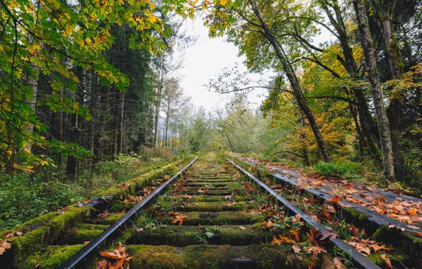 Картинка autumn, railway, abandoned, fall, railroad, decay