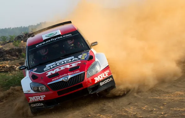 Картинка S2000, Skoda, Fabia, Фабия, Шкода, WRC2, Pontus Tidemand