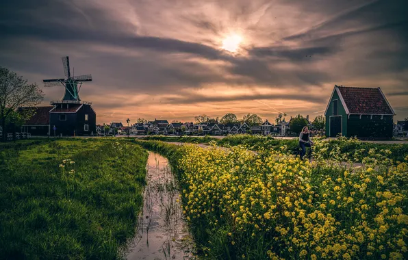 Картинка дома, обработка, мельница, THROUGH THE YELLOW FURROW