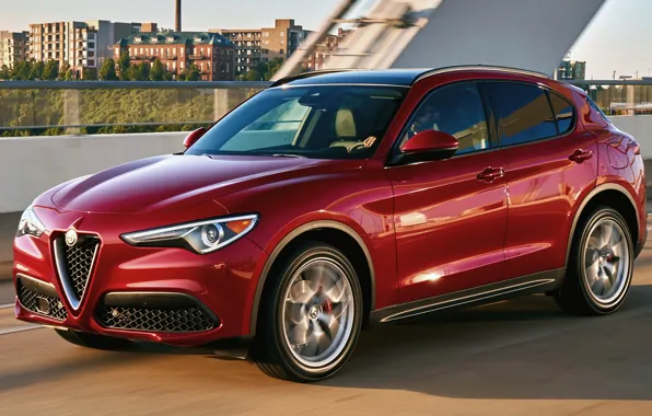Машина, красный, движение, улица, Alfa Romeo, автомобиль, кроссовер, Alfa Romeo Stelvio