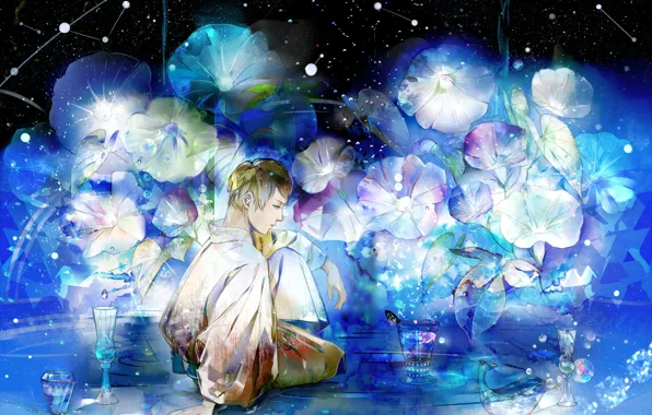 Звезды, цветы, ночь, аниме, арт, парень, saiga tokihito