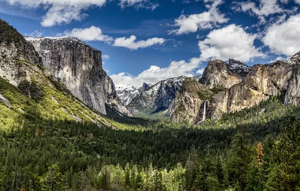Картинка лес, пейзаж, горы, природа, панорама, Grand, California, Yosemite Valley