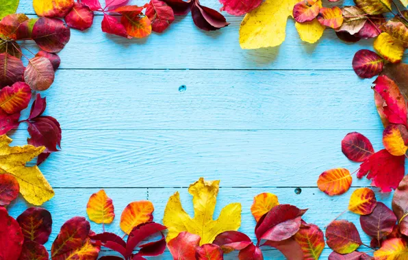 Картинка осень, листья, фон, colorful, wood, autumn, leaves