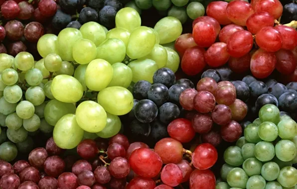 Картинка Виноград, красный виноград, белый виноград, синий виноград