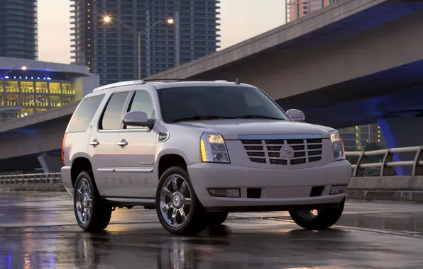 Внедорожник, cadillac, hybrid, escalade
