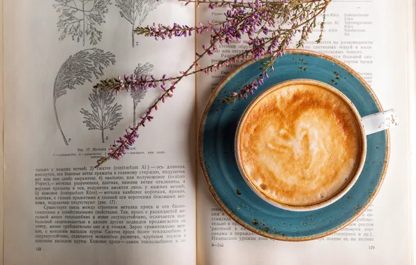 Цветы, Книга, Капучино