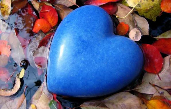 Картинка листья, вода, любовь, синий, настроение, голубой, камень, сердце