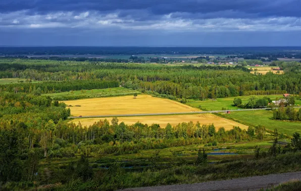 Картинка дорога, поле, небо, цветы, весна, май, Nature, may