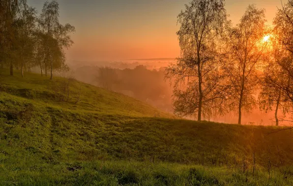 Картинка небо, трава, облака, деревья, пейзаж, закат, природа