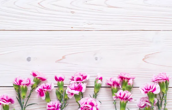 Цветы, розовые, wood, pink, гвоздика, flowers