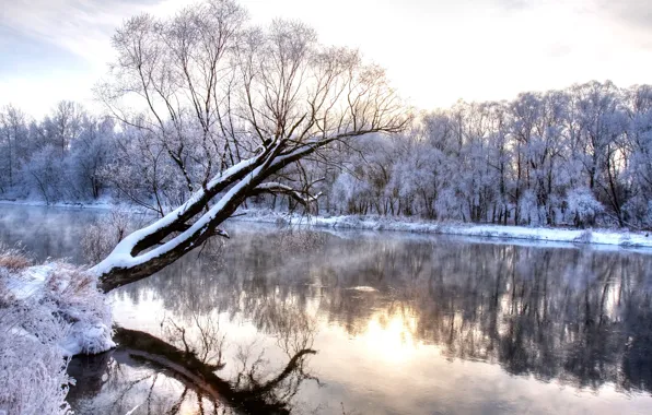 Картинка холод, зима, деревья, пейзаж, природа, отражение, река, wonderland