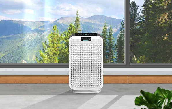 Forest, window, living room, air purifier
