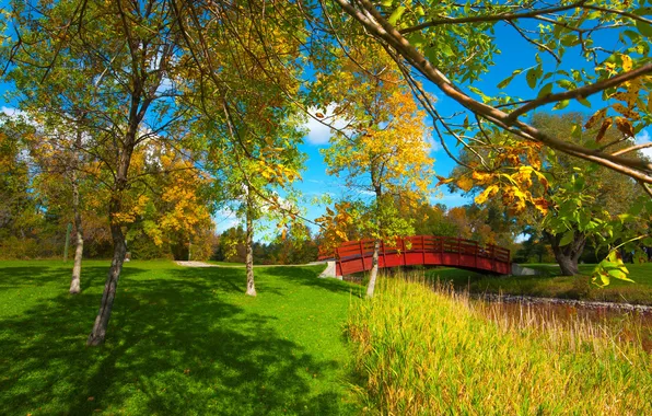 Картинка осень, листья, деревья, парк, мостик, багрянец