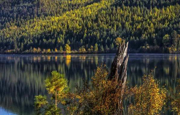 Осень, лес, деревья, горы, природа, озеро, отражение, берег