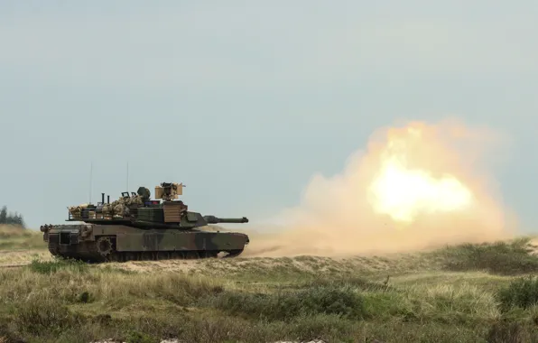Weapon, tank, armored, military vehicle, armored vehicle, armed forces, military power, 031