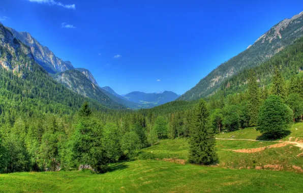 Germany, mountains, Bavaria, nature.