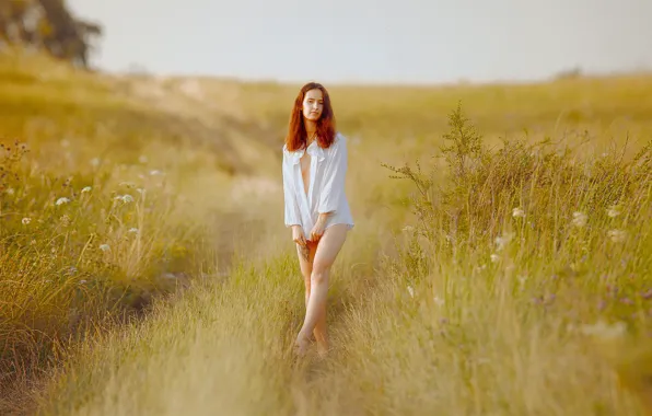 Картинка поле, лето, девушка