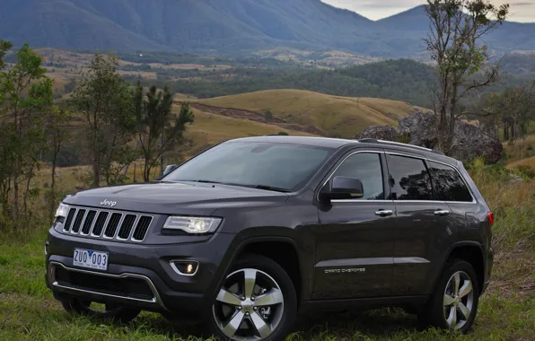 Car, jeep, gran cheroki