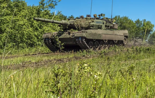 Картинка природа, танк, Leopard 2A6