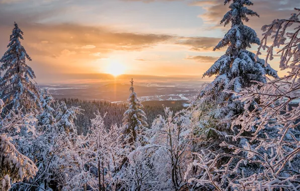 Картинка зима, лес, небо, солнце, облака, снег, деревья, природа
