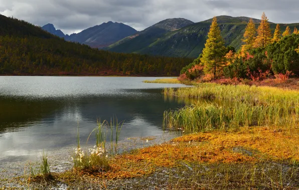 Картинка осень, трава, деревья, пейзаж, горы, природа, озеро, леса