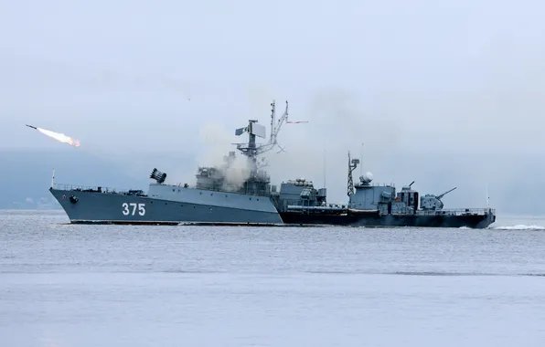 Малый противолодочный корабль, проект 1124м, МПК-82