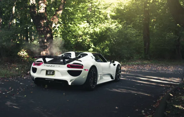 Porsche, Jungle, Spyder, 918, White, Porsche 918 Spyder
