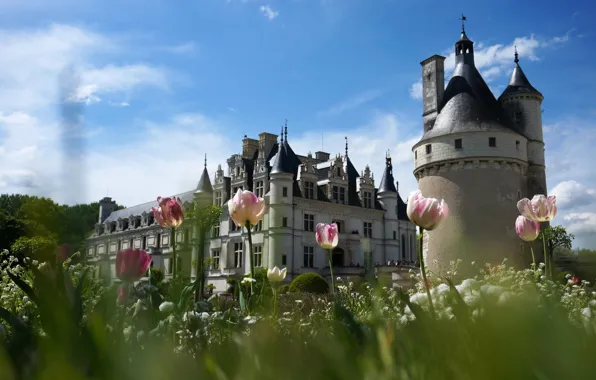 Картинка трава, облака, свет, пейзаж, цветы, синева, замок, башня