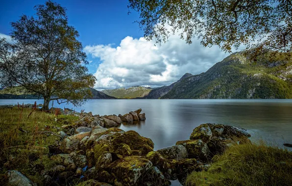 Картинка горы, озеро, камни, дерево, Норвегия, Norway, Ругаланн, Rogaland