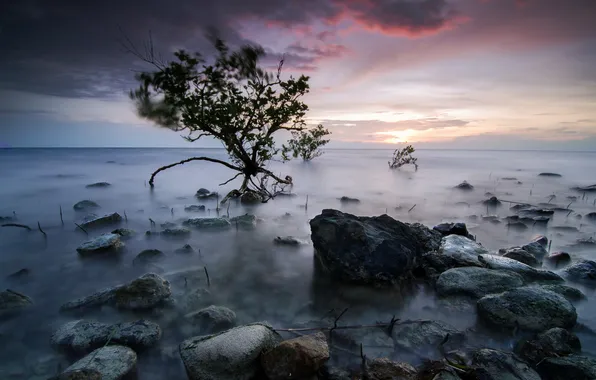 Море, пейзаж, ночь, берег