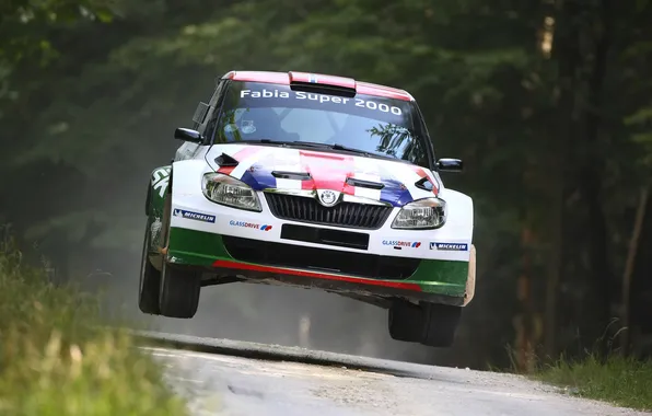 Ралли, Fabia, Спорт, Skoda, Rally, Капот, Передок, Шкода