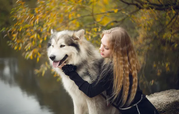 Осень, взгляд, девушка, природа, поза, дерево, листва, собака