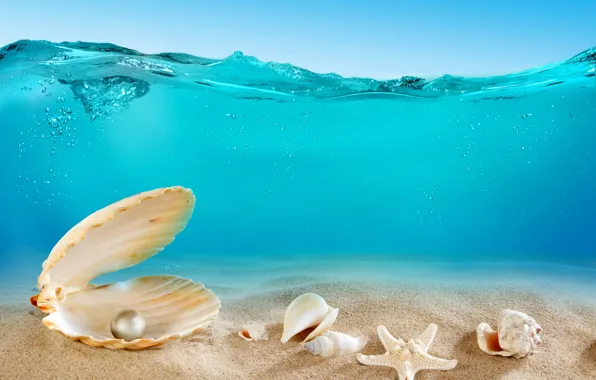 Картинка песок, море, океан, дно, ракушки, underwater, ocean, sand