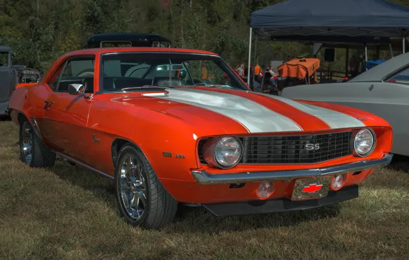 1969, Chevy, Camaro 396ci