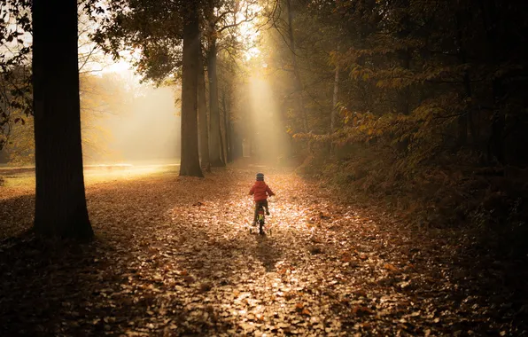 Картинка осень, велосипед, девочка