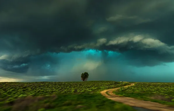 Поле, тучи, дерево, буря, Колорадо, США, Ламар