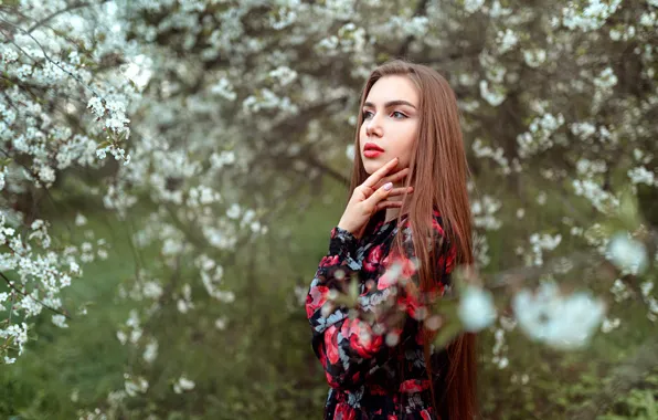 Деревья, ветки, модель, портрет, макияж, сад, платье, прическа