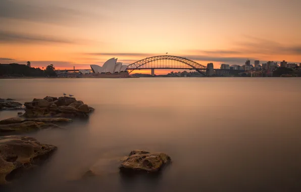 Картинка мост, ночные огни, Австралия, Сидней, night lights