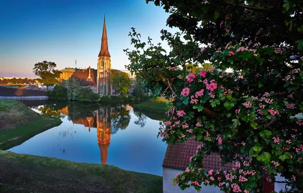 Картинка пейзаж, отражение, река, дерево, Дания, церковь, Denmark, Copenhagen