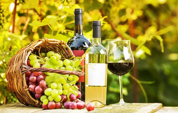 Картинка зелень, стол, вино, корзина, бокал, сад, виноград, бутылки